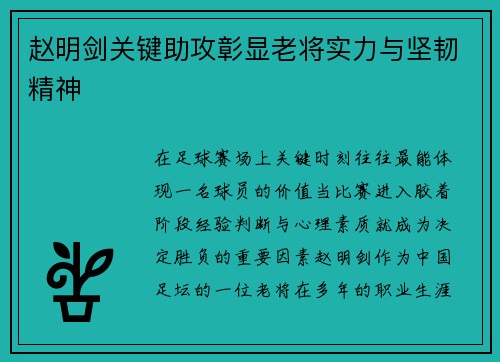 赵明剑关键助攻彰显老将实力与坚韧精神